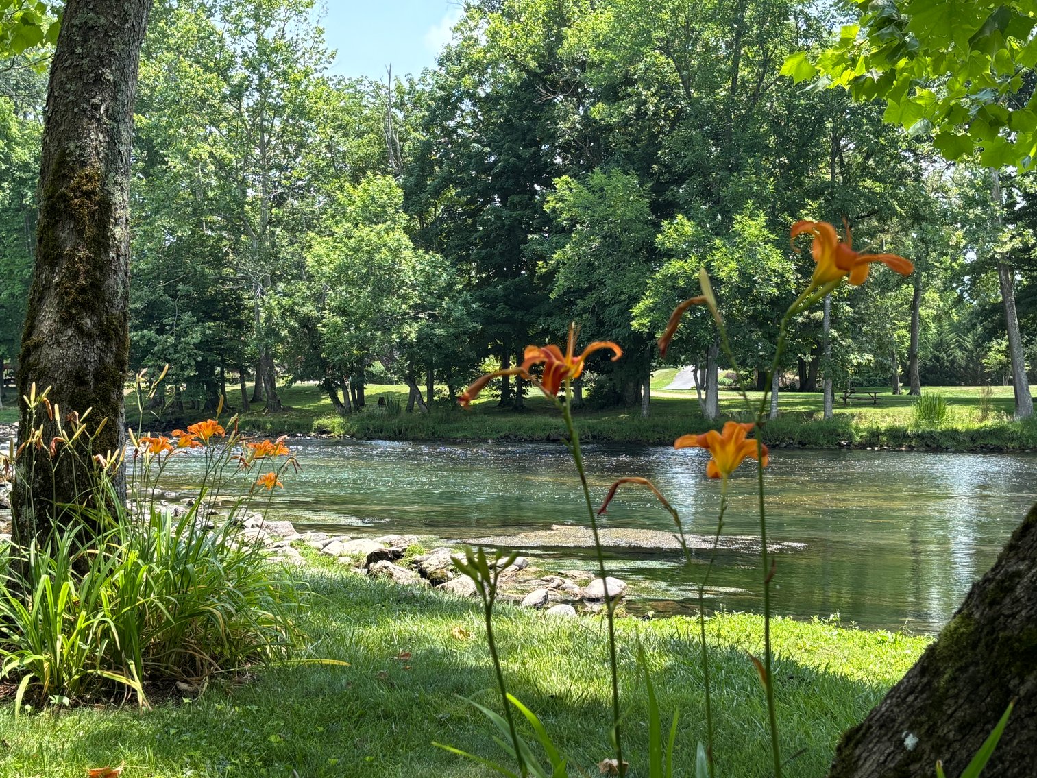 Image for 311 RIVERVIEW ROAD BRISTOL, TN