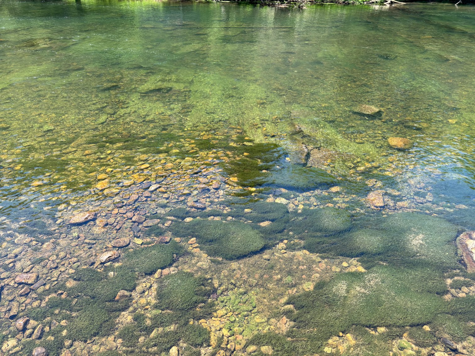 Image for 311 RIVERVIEW ROAD BRISTOL, TN