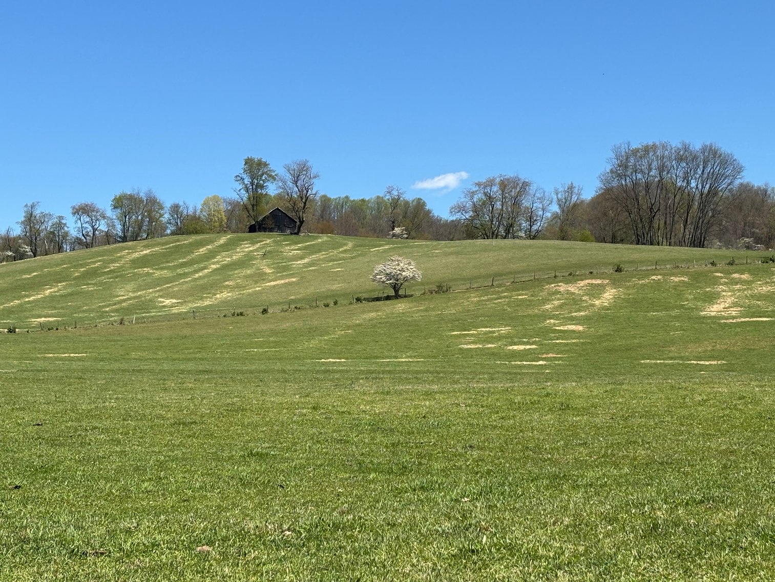 Image for RICH VALLEY ROAD / RTE. 700  ABINGDON, VIRGINIA