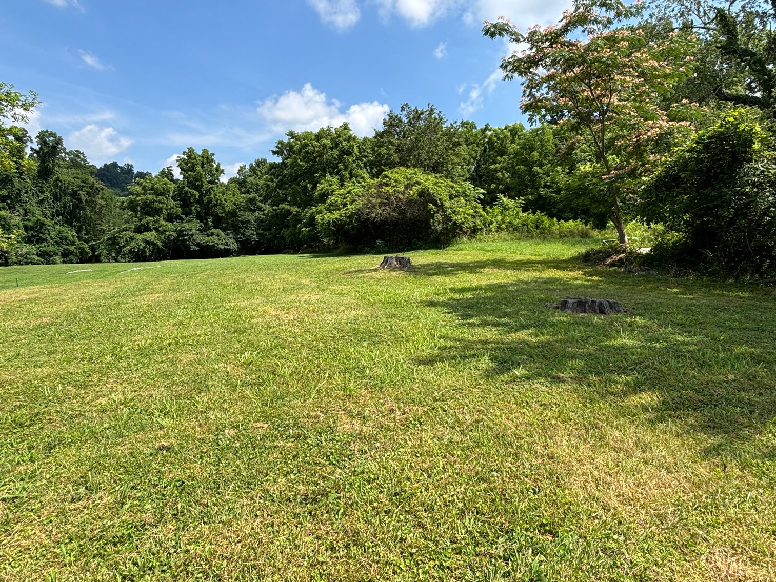 Image for 2425 CATHERINE STREET  BRISTOL, VA 24201