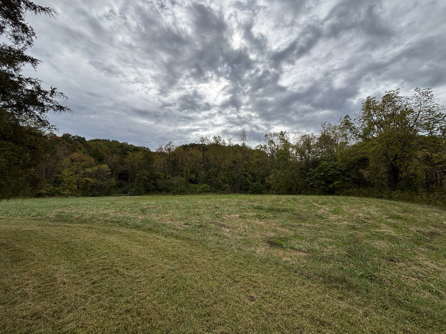 Image for 602 SPRING BROOK DRIVE  BRISTOL, TN 37620