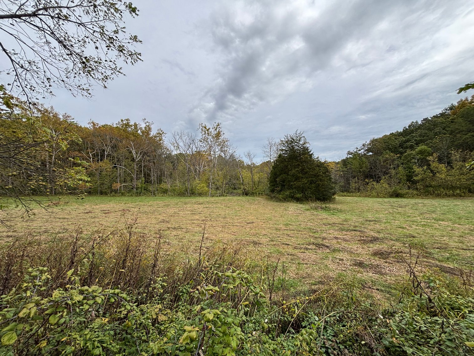 Image for 602 SPRING BROOK DRIVE  BRISTOL, TN 37620
