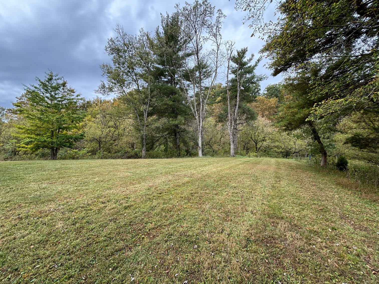 Image for 602 SPRING BROOK DRIVE  BRISTOL, TN 37620