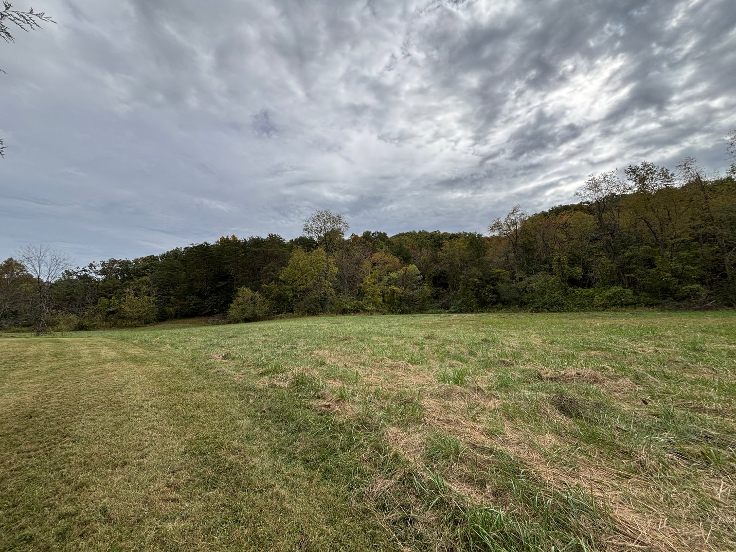 Image for 602 SPRING BROOK DRIVE  BRISTOL, TN 37620