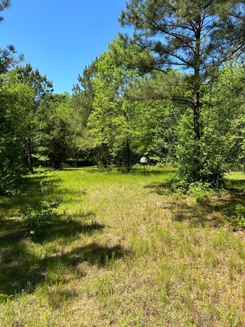 Image for LIVE AUCTION -  Offering 274.04 acres Located on Salem Church Miller Rd & Hwy 49 in Jones County, Georgia.  To Settle The Estates of Barbara Miller and Felton Miller
