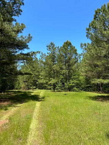 Image for LIVE AUCTION -  Offering 274.04 acres Located on Salem Church Miller Rd & Hwy 49 in Jones County, Georgia.  To Settle The Estates of Barbara Miller and Felton Miller