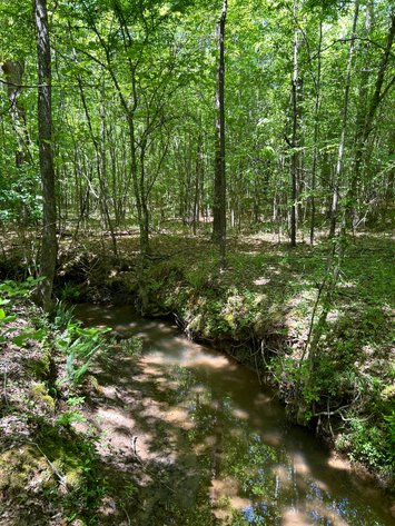 Image for LIVE AUCTION -  Offering 274.04 acres Located on Salem Church Miller Rd & Hwy 49 in Jones County, Georgia.  To Settle The Estates of Barbara Miller and Felton Miller