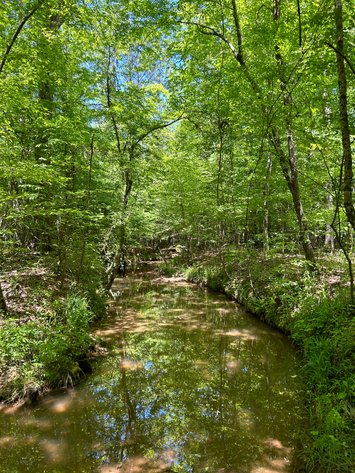 Image for LIVE AUCTION -  Offering 274.04 acres Located on Salem Church Miller Rd & Hwy 49 in Jones County, Georgia.  To Settle The Estates of Barbara Miller and Felton Miller