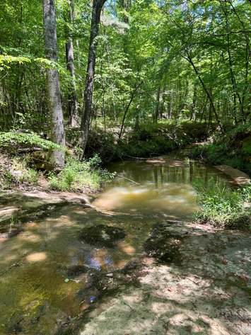 Image for LIVE AUCTION -  Offering 274.04 acres Located on Salem Church Miller Rd & Hwy 49 in Jones County, Georgia.  To Settle The Estates of Barbara Miller and Felton Miller