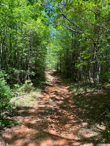 Image for LIVE AUCTION -  Offering 274.04 acres Located on Salem Church Miller Rd & Hwy 49 in Jones County, Georgia.  To Settle The Estates of Barbara Miller and Felton Miller