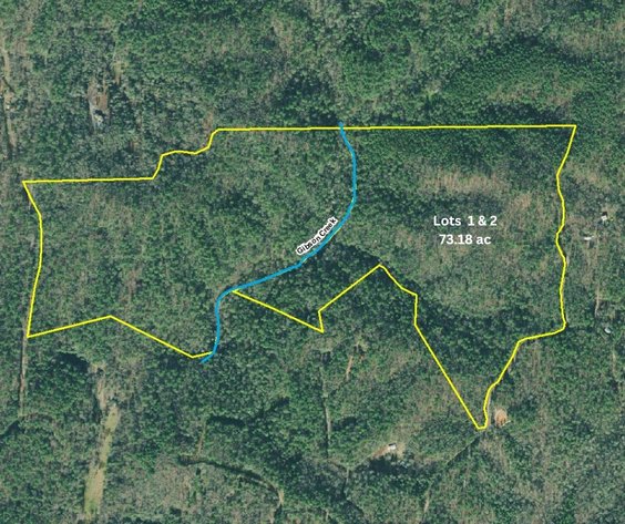 Image for ONLINE AUCTION - 131 Acres near Ellijay in Gilmer County, Georgia