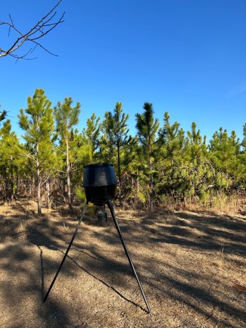 Image for ONLINE AUCTION - 171.5 Acres in Montgomery & Treutlen Counties