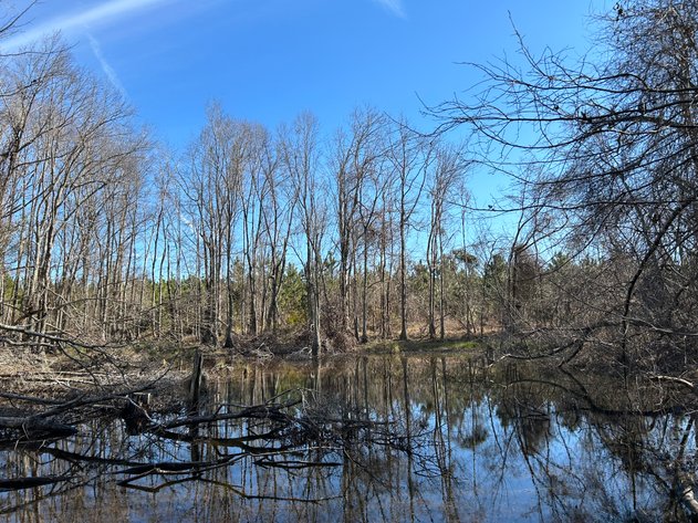 Image for ONLINE AUCTION - 171.5 Acres in Montgomery & Treutlen Counties