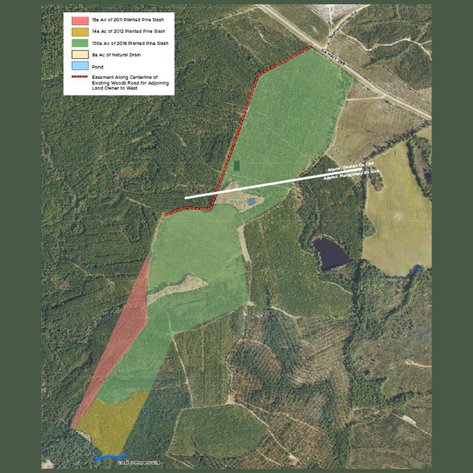 Image for ONLINE AUCTION - 171.5 Acres in Montgomery & Treutlen Counties