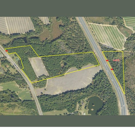 Image for LIVE AUCTION - 160 Acres in Tift County, Georgia and Personal Property