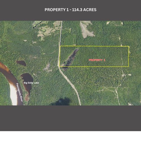 Image for ONLINE AUCTION - 114.3 Acres in George County, MS and 331.96 Acres in Greene County MS