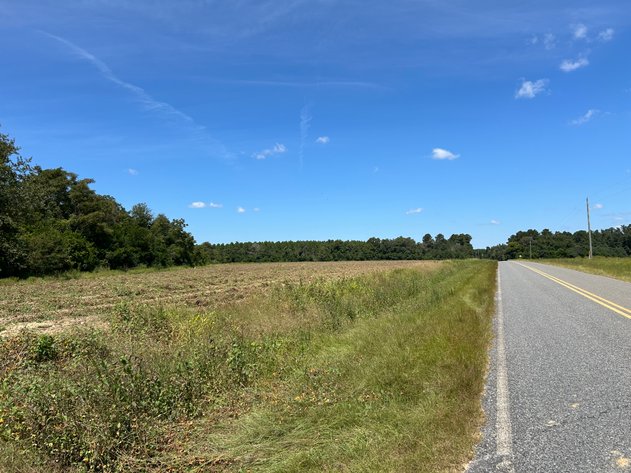 Image for LIVE TRUSTEE'S AUCTION - 65  Acres in Laurens County