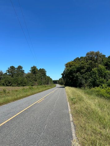 Image for LIVE TRUSTEE'S AUCTION - 65  Acres in Laurens County