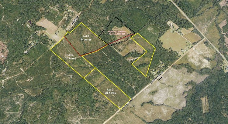 Image for ONLINE AUCTION  - 258 ACRES IN LAURENS COUNTY, GEORGIA