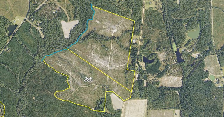 Image for ONLINE AUCTION - 290+ Acres in Emanuel County, Georgia