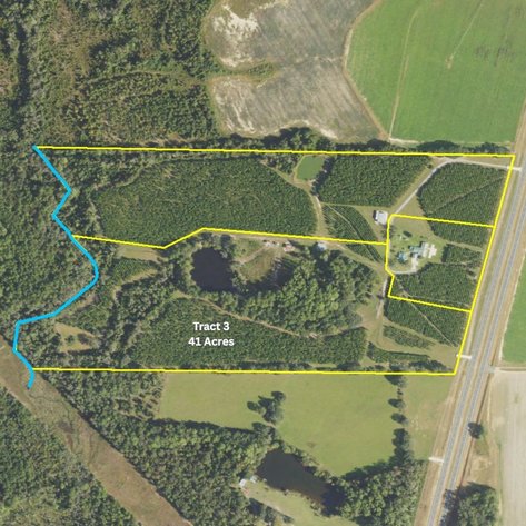 Image for ONLINE AUCTION - 79 Acres & Home in Toombs County, GA