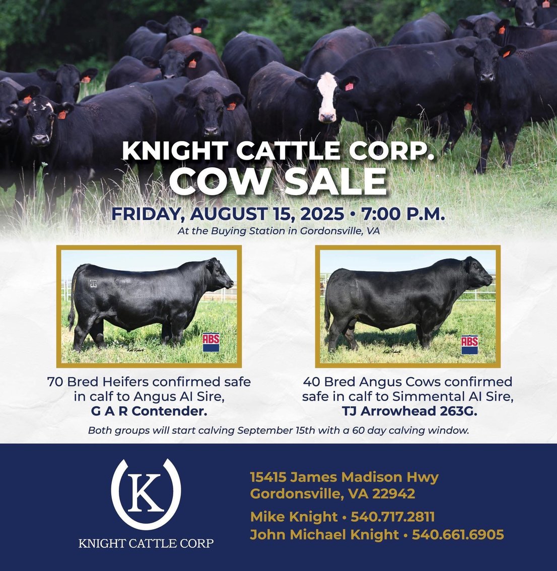 Image for Knight Cattle Corp. – Cow Sale