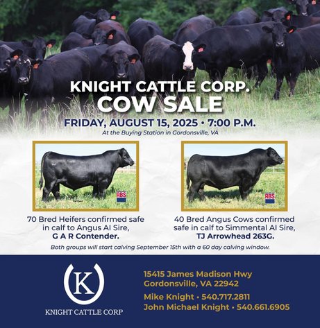 Image for Knight Cattle Corp. – Cow Sale