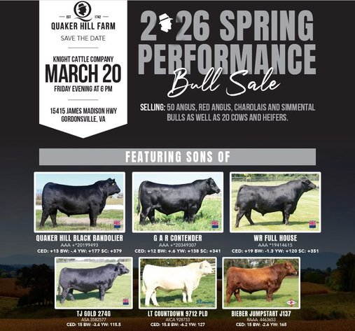 Image for Quaker Hill Farm – 2026 Spring Performance Bull Sale