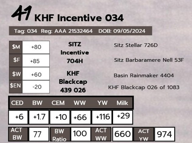 Image for 2nd Annual Spring Celebration Production Sale