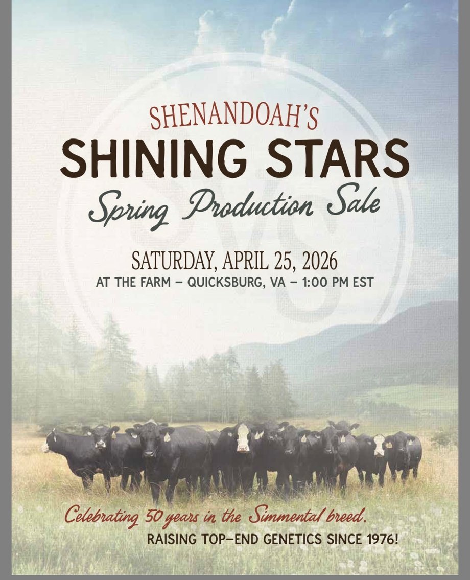Image for Shenandoah’s Shining Stars Spring Production Sale