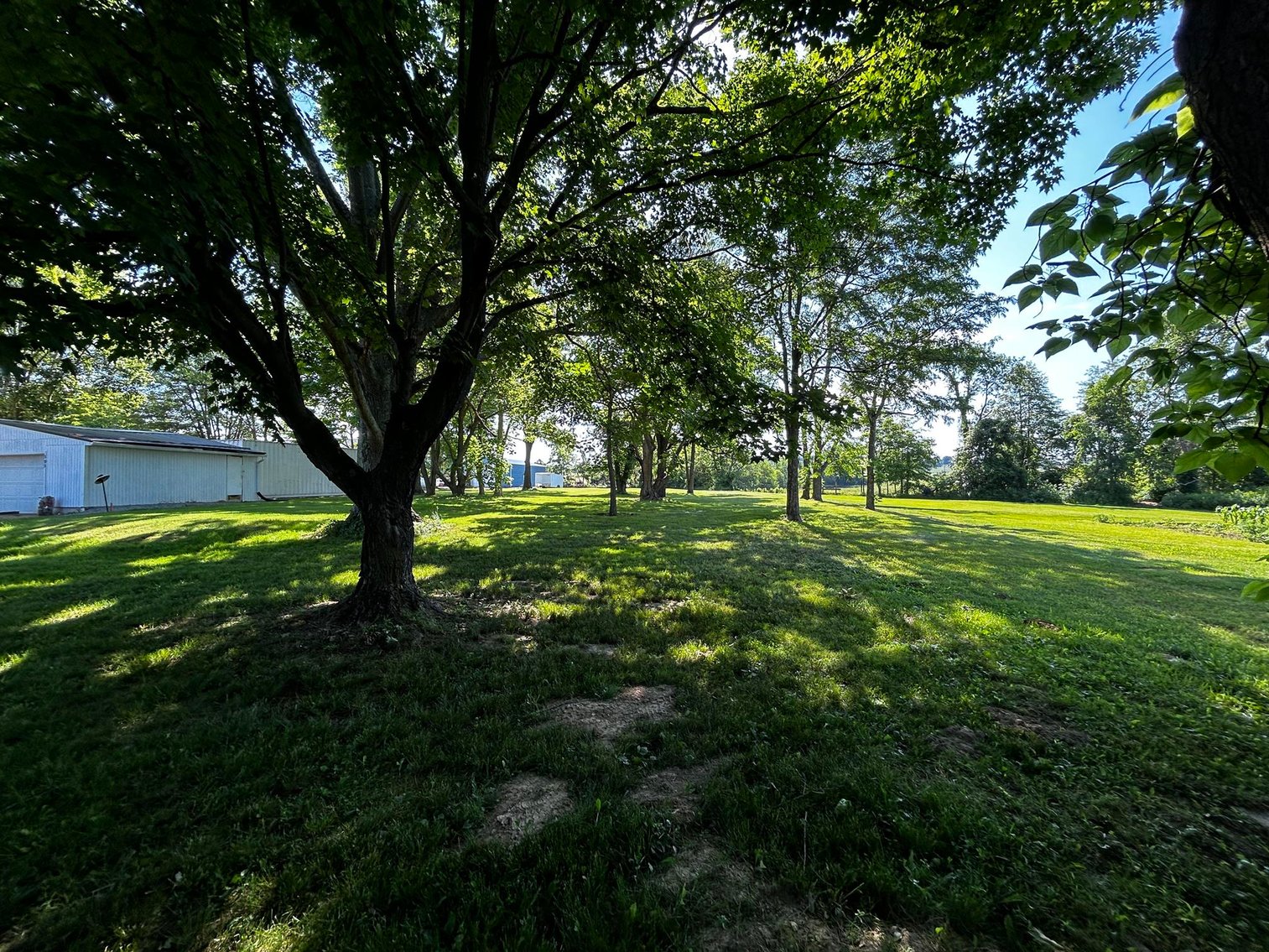 Image for SOLD $36,850 - 3 Bedroom on Nearly an Acre Selling to the Highest Bidder