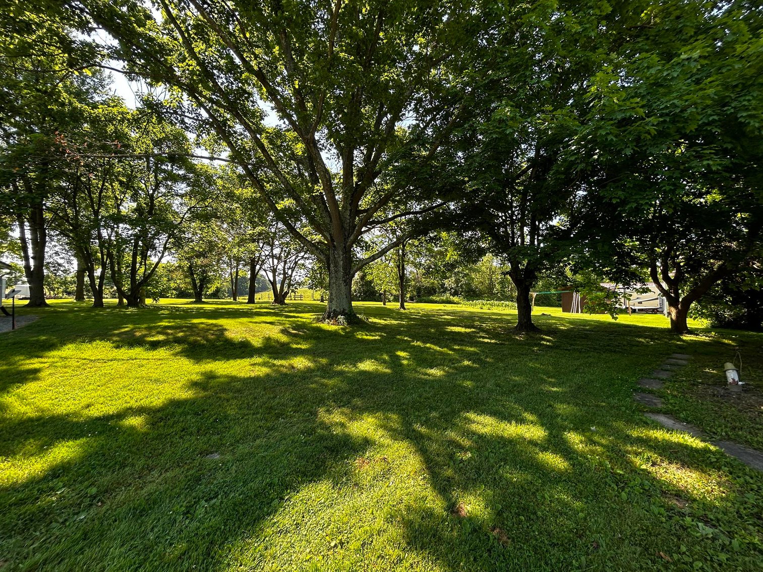 Image for SOLD $36,850 - 3 Bedroom on Nearly an Acre Selling to the Highest Bidder