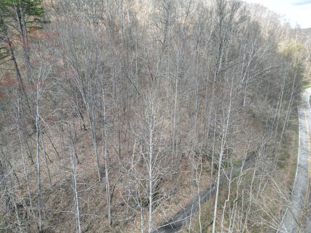 Image for SOLD $81,950 - 91 Surveyed Acres in Boone County Selling to the Highest Bidder