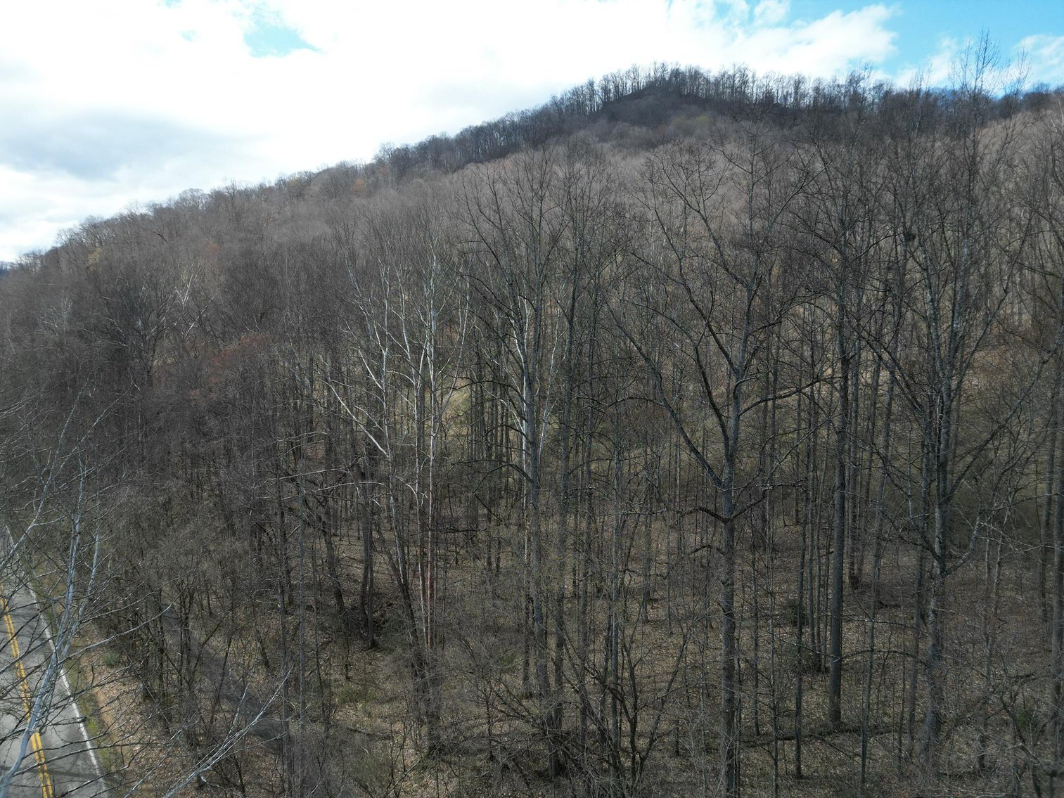 Image for SOLD $81,950 - 91 Surveyed Acres in Boone County Selling to the Highest Bidder