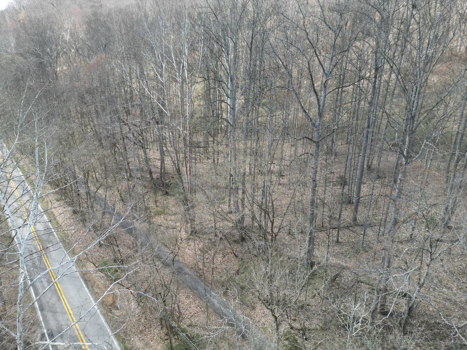 Image for SOLD $81,950 - 91 Surveyed Acres in Boone County Selling to the Highest Bidder