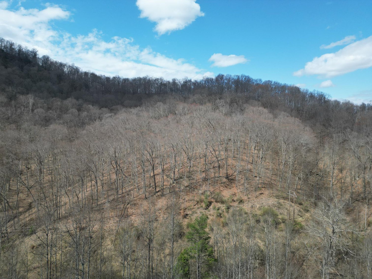 Image for SOLD $81,950 - 91 Surveyed Acres in Boone County Selling to the Highest Bidder