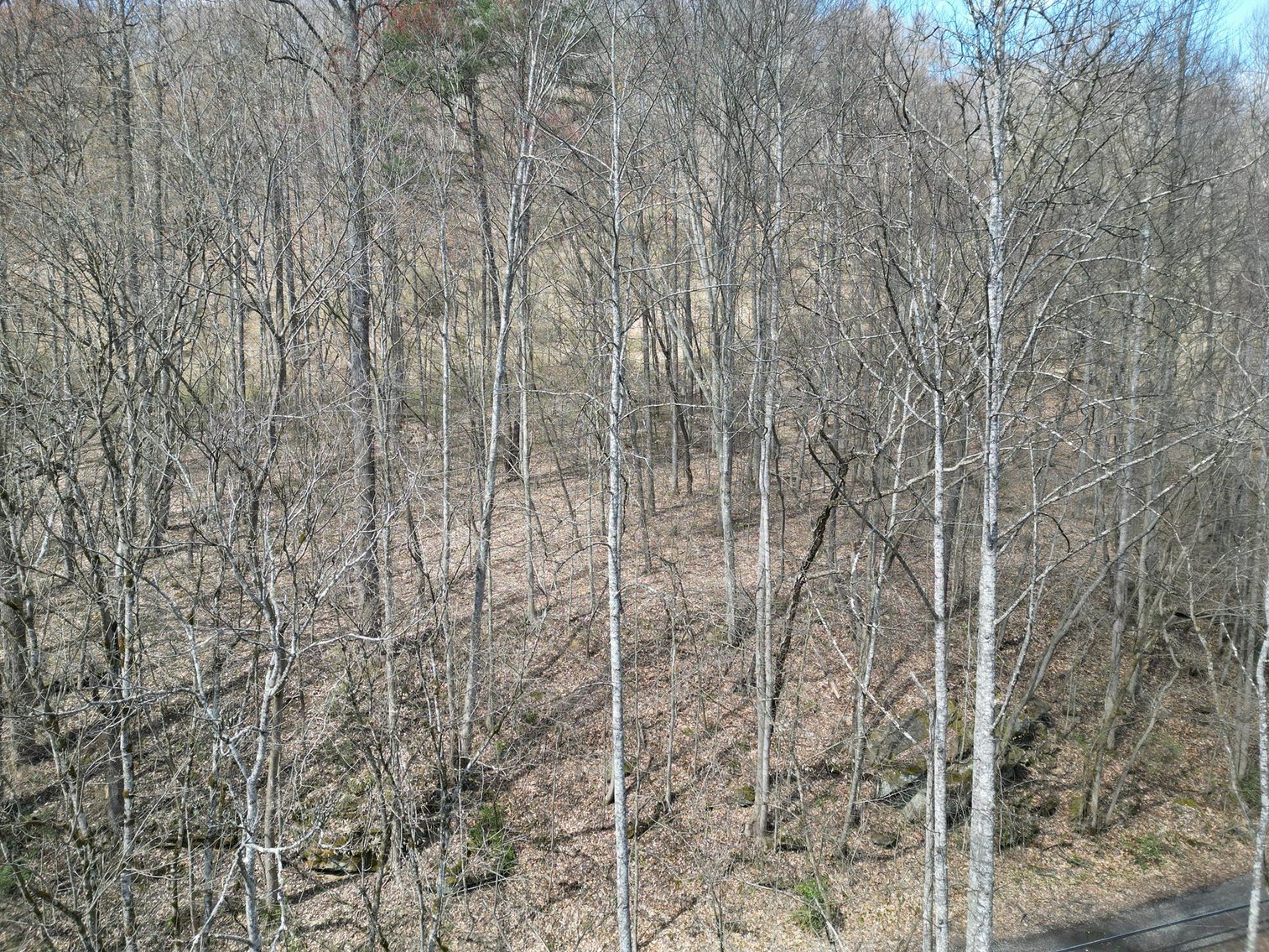 Image for SOLD $81,950 - 91 Surveyed Acres in Boone County Selling to the Highest Bidder