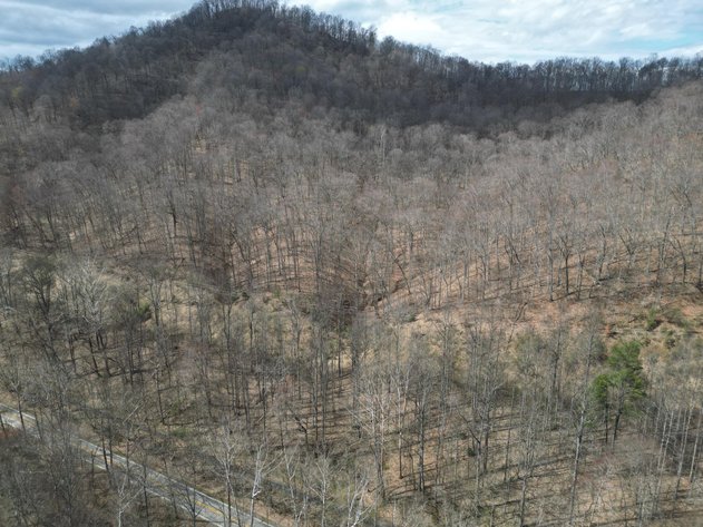 Image for SOLD $81,950 - 91 Surveyed Acres in Boone County Selling to the Highest Bidder