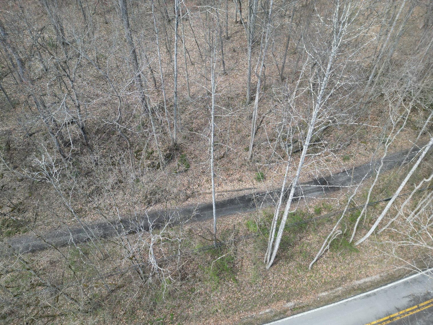 Image for SOLD $81,950 - 91 Surveyed Acres in Boone County Selling to the Highest Bidder