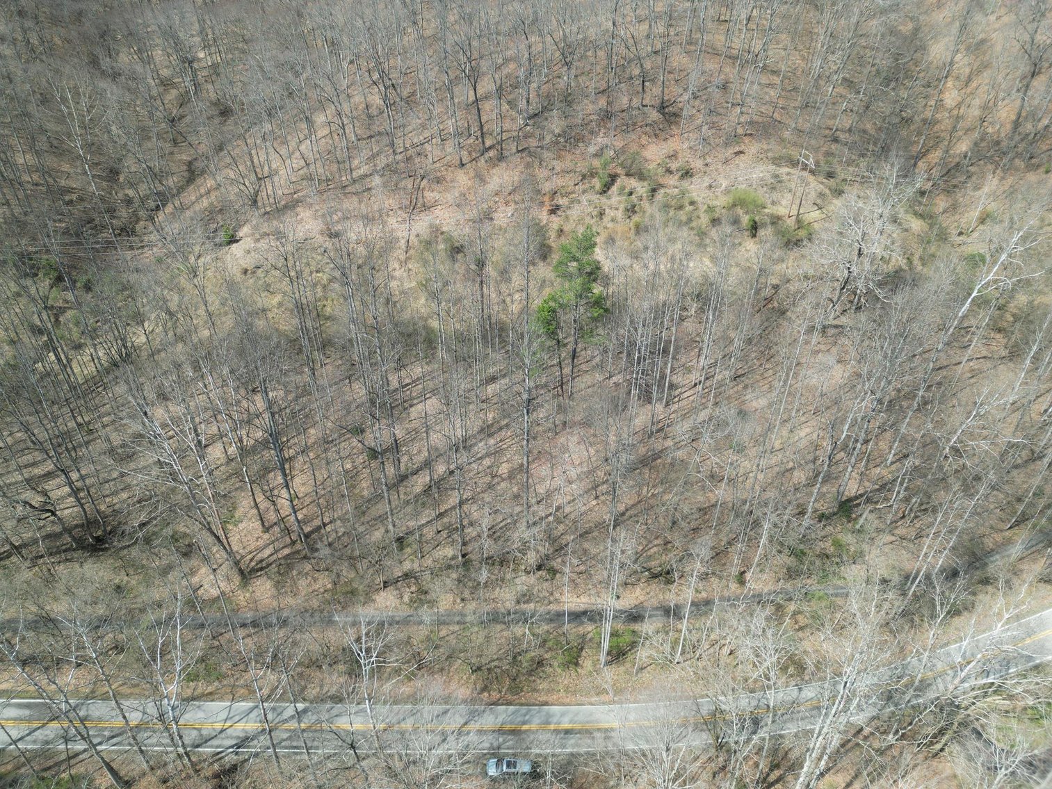 Image for SOLD $81,950 - 91 Surveyed Acres in Boone County Selling to the Highest Bidder