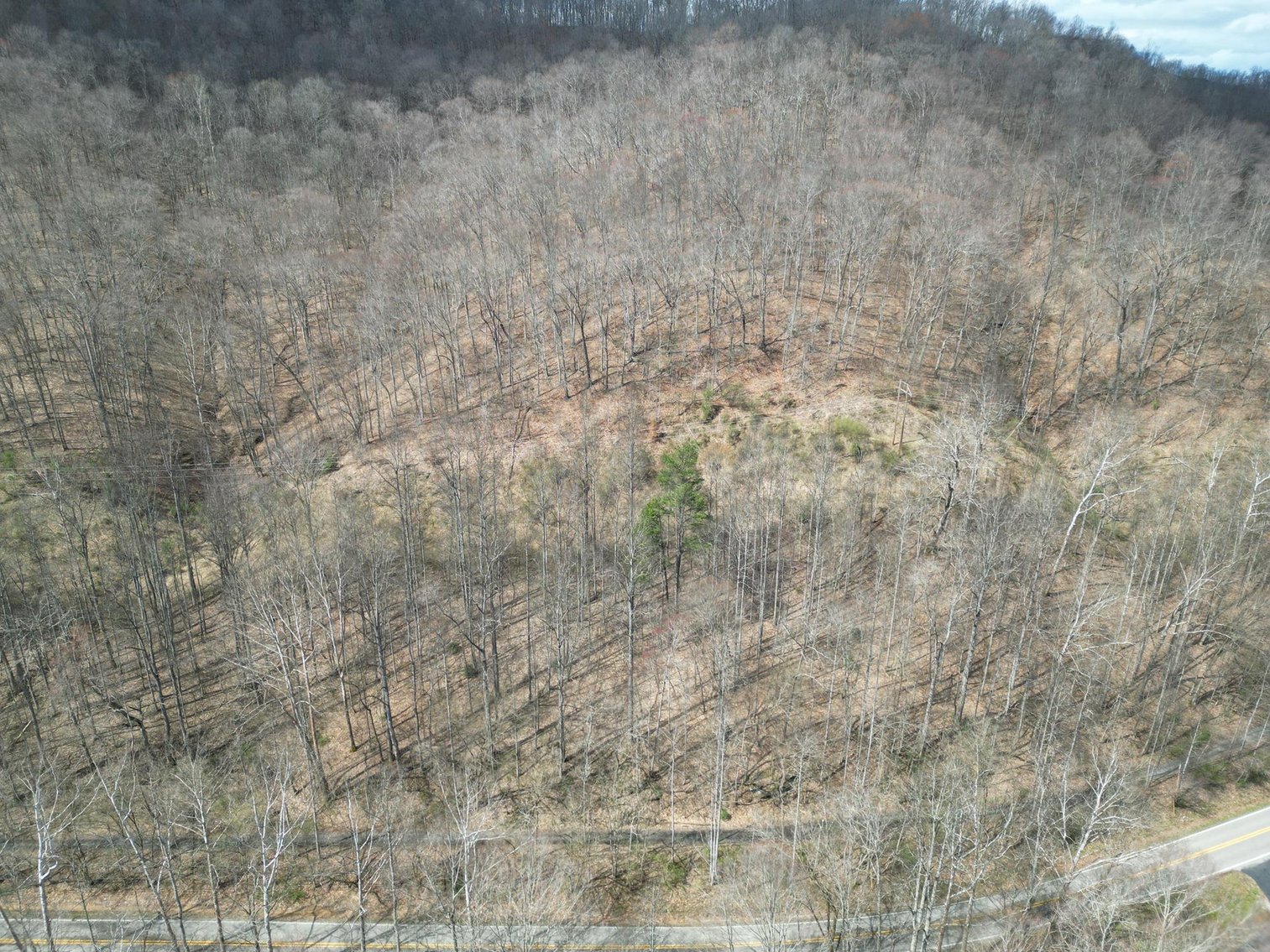 Image for SOLD $81,950 - 91 Surveyed Acres in Boone County Selling to the Highest Bidder