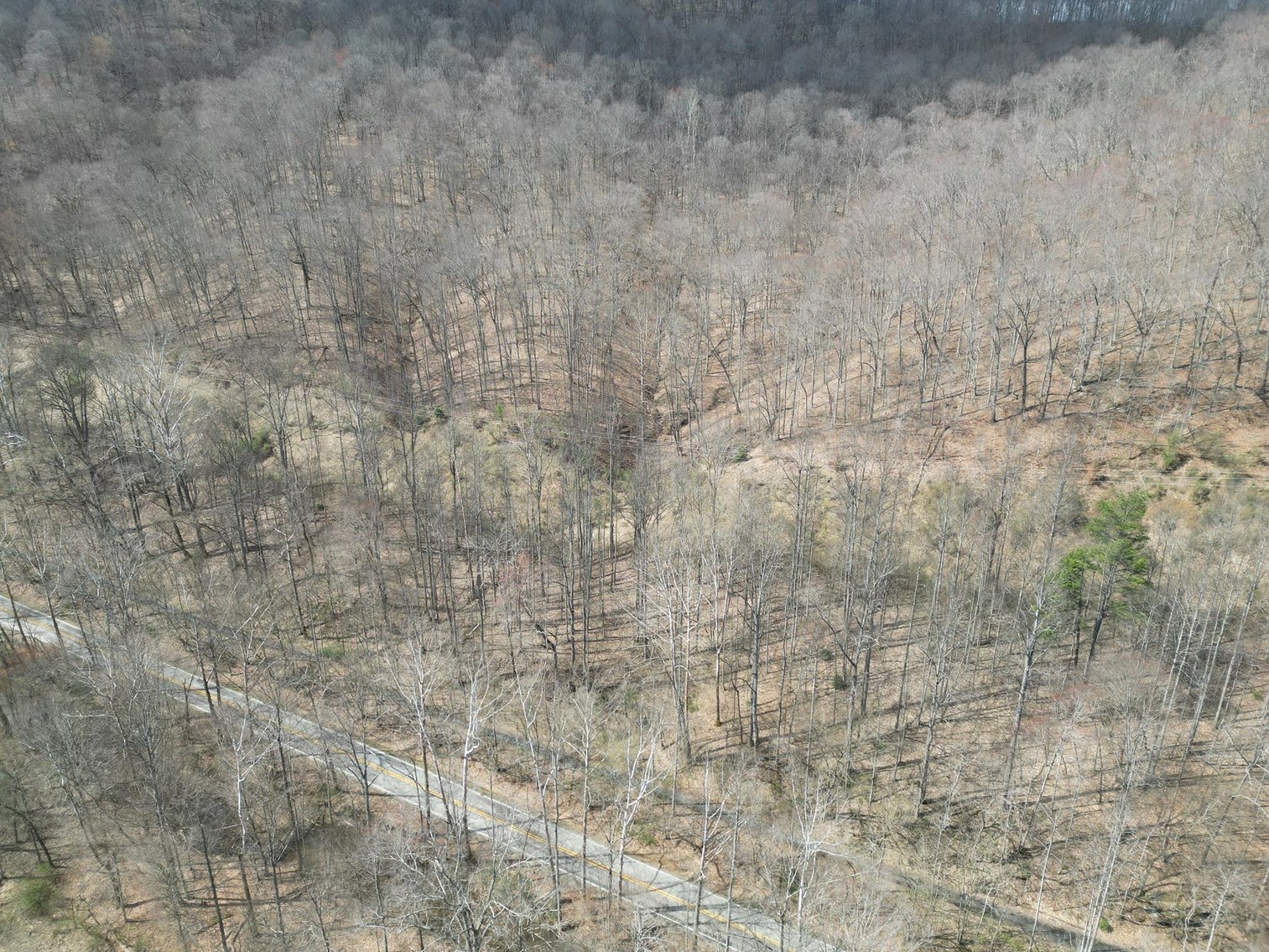 Image for SOLD $81,950 - 91 Surveyed Acres in Boone County Selling to the Highest Bidder