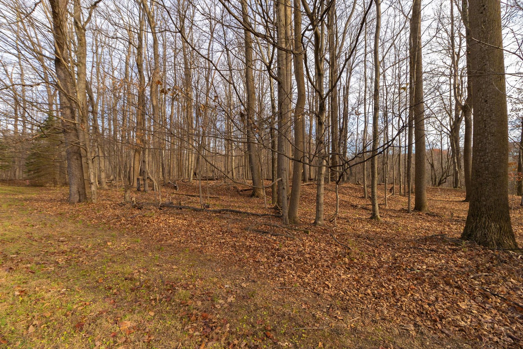 Image for SOLD $330,000 - 3 Bedroom on 3.4 Acres in Morgantown