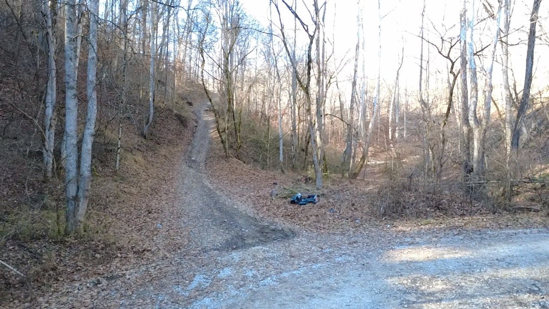 Image for SOLD $176,000 - 181 Surveyed Acres in Boone County Selling to the Highest Bidder