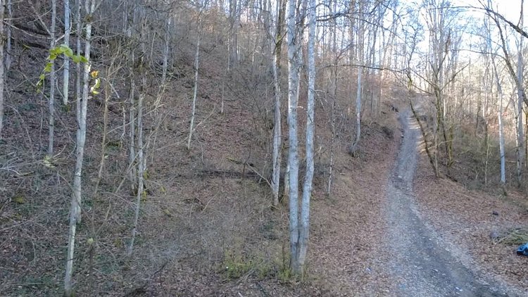 Image for SOLD $176,000 - 181 Surveyed Acres in Boone County Selling to the Highest Bidder