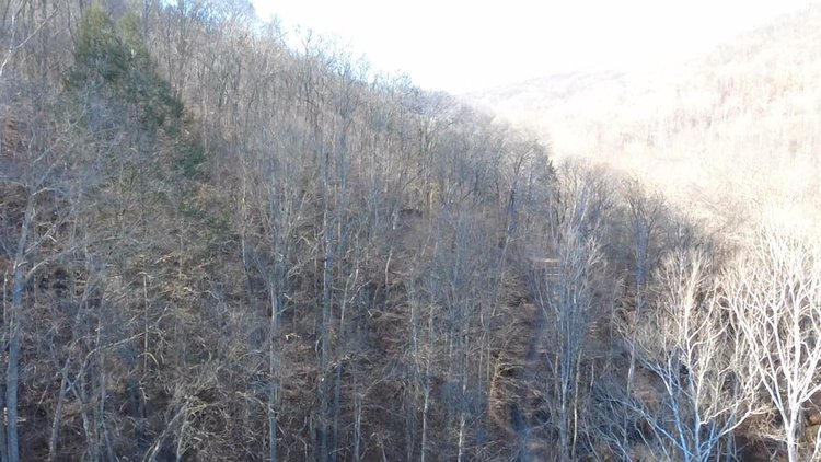 Image for SOLD $176,000 - 181 Surveyed Acres in Boone County Selling to the Highest Bidder