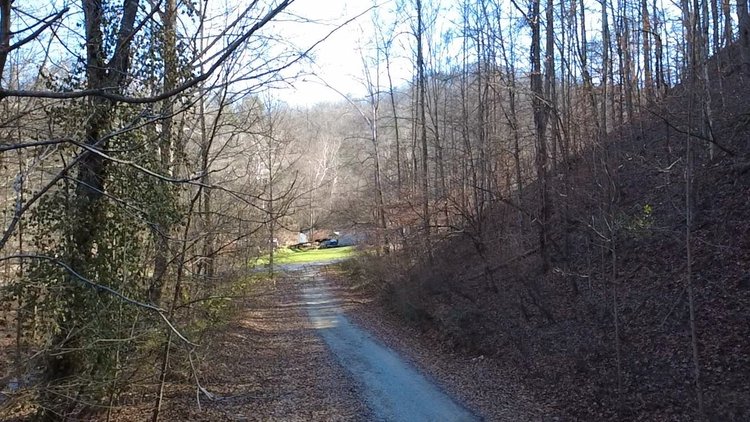 Image for SOLD $176,000 - 181 Surveyed Acres in Boone County Selling to the Highest Bidder