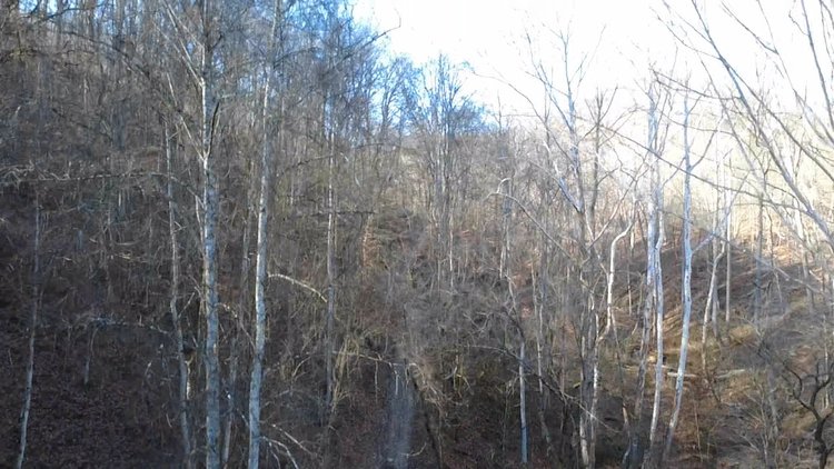 Image for SOLD $176,000 - 181 Surveyed Acres in Boone County Selling to the Highest Bidder