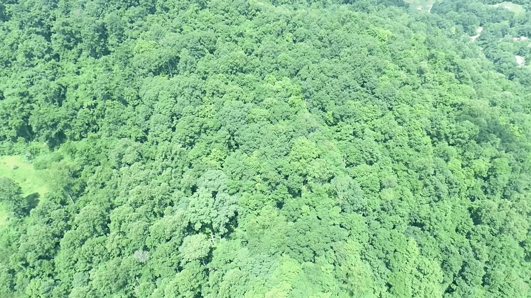 Image for SOLD $14,575 - 15 Acres Minutes from I-77 near Charleston