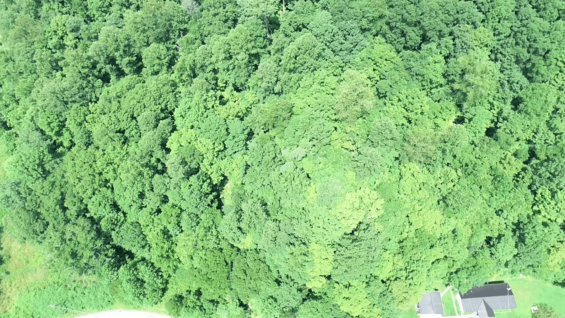 Image for SOLD $14,575 - 15 Acres Minutes from I-77 near Charleston